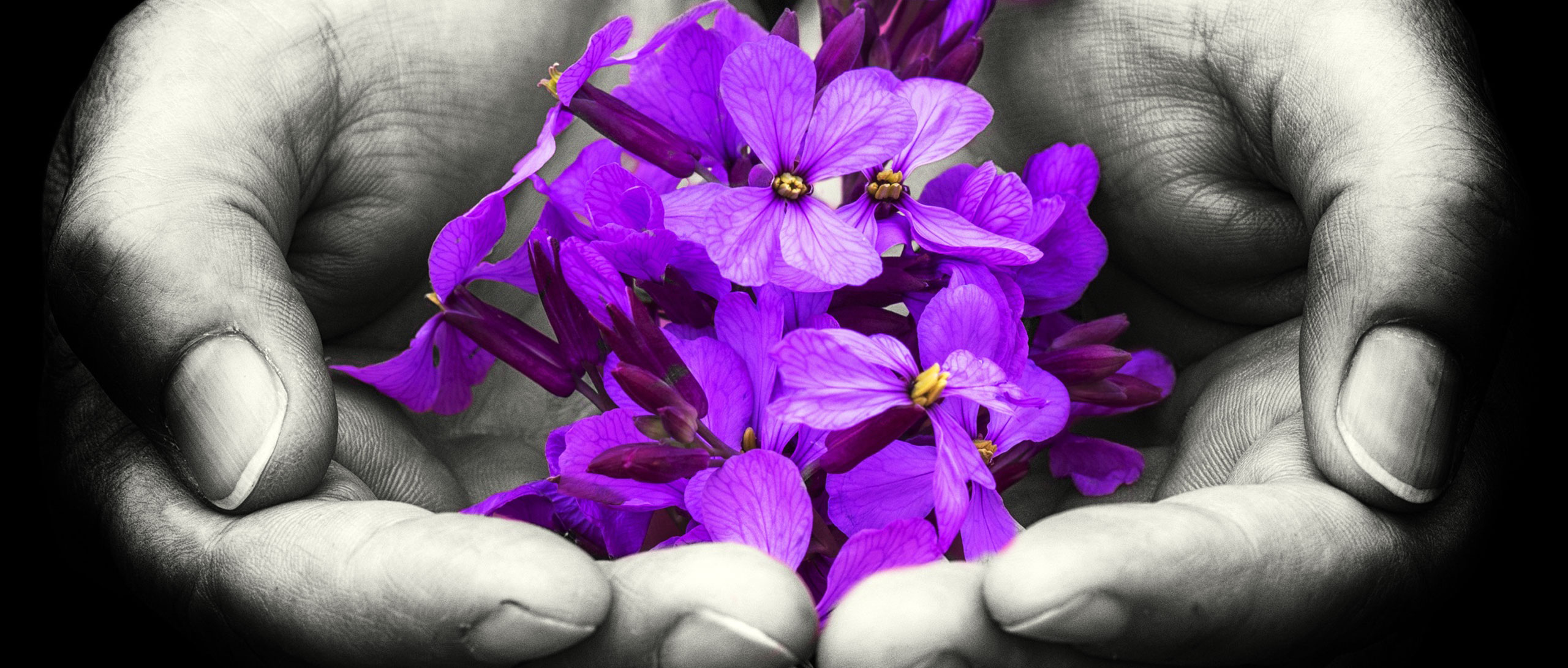 Reiki | Terapia Vibracional, Inmaculada Roldán Hueso