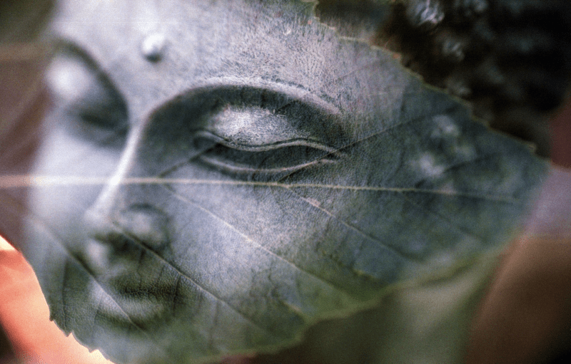 terapia-vibracional-pxhere.com