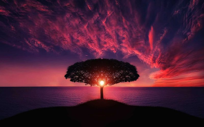 terapia-vibracional-pxhere.com