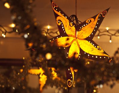 branch-winter-light-night-star-leaf-1093795-pxhere.com
